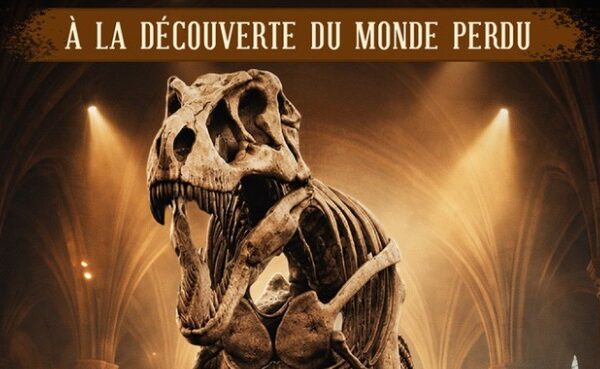 Image de l'activité